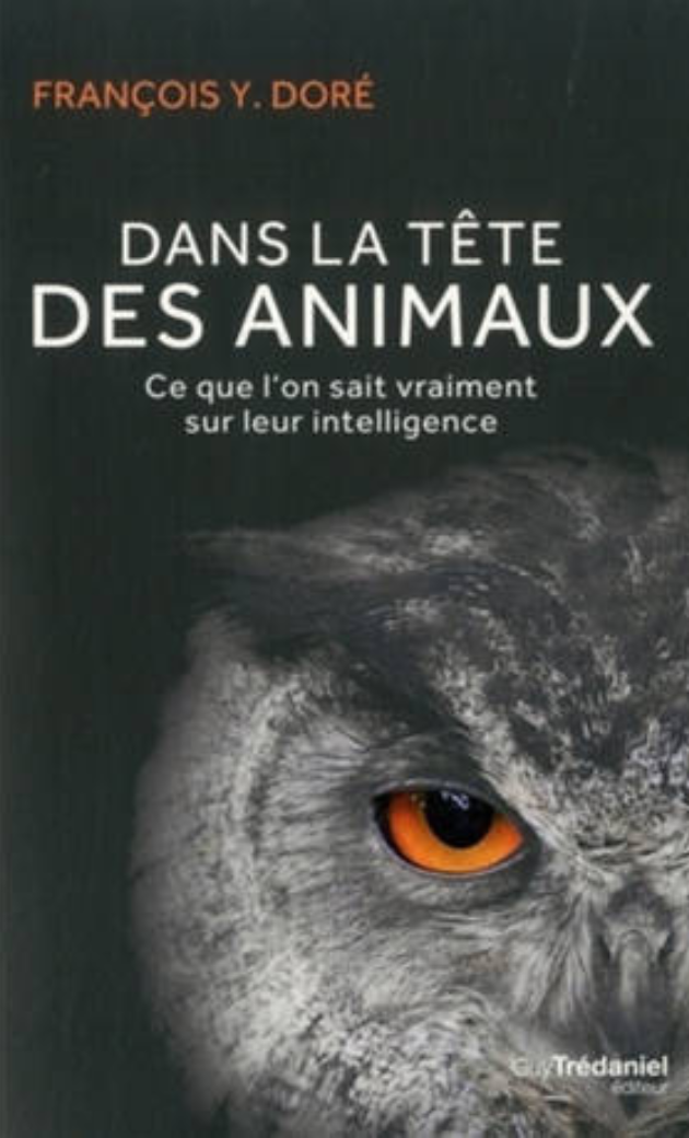 livre-françois-doré-les-chiens-de-justice
