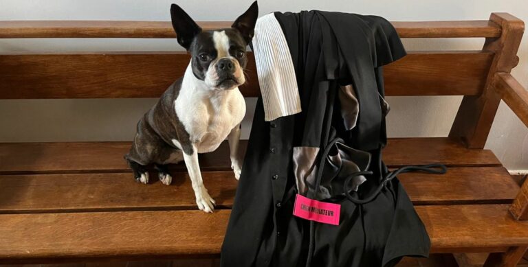formation Agate chien médiateur borston terrier association les chiens de justice